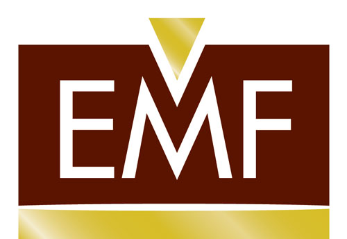 EMF Holding